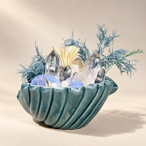 Seafoam Shell Crystal Garden on a warm ivory background